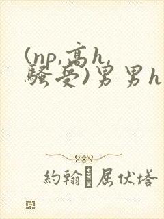 (np,高h,骚受)男男h