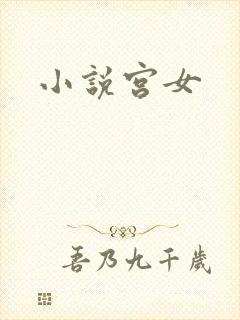 小说宫女