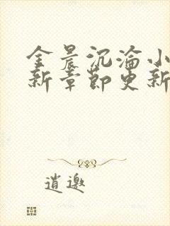 金晨沉沦小说最新章节更新内容