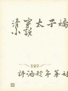清穿太子娇妃的小说