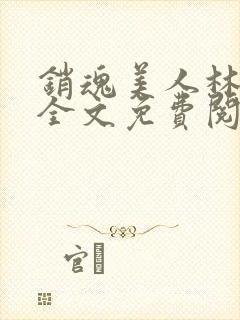 销魂美人林婷婉全文免费阅读小说封面