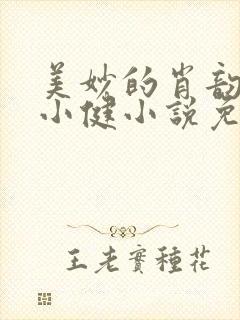 美妙的肖韵云和小健小说免费阅读