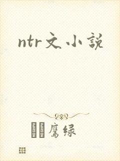 ntr文小说封面