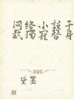 网络小说千亿总裁独宠替身娇妻封面