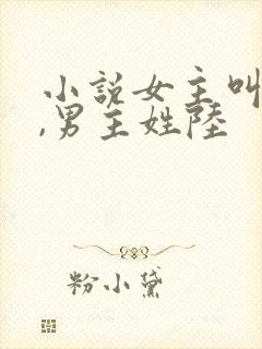 小说女主叫夏栀,男主姓陆