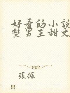 好看的小说推荐双男主甜文