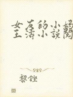 女友的小妈妈凤王涛小说阅读