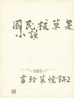 国民校草是女生 小说