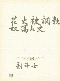 花火被调教成肉奴高h文封面