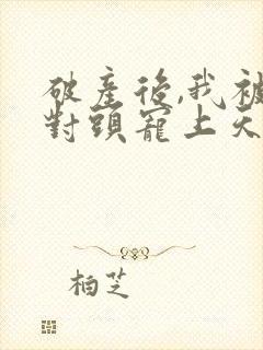 破产后,我被死对头宠上天在线免费观看