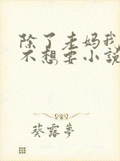 除了老妈我谁也不想要小说免费阅读