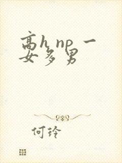高h np 一女多男封面