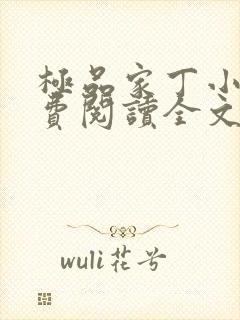 极品家丁小说免费阅读全文无删减