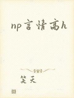 np言情高h