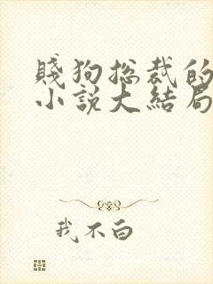 贱狗总裁的训诫小说大结局