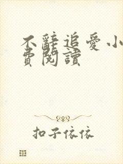 不辞追爱小说免费阅读