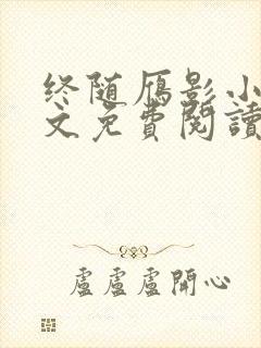 终随雁影小说全文免费阅读