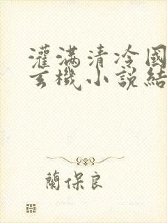 灌满清冷国师陆玄机小说结局封面