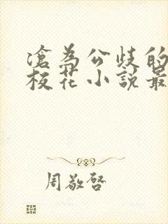 沧为公歧的清纯校花小说最新章节更封面