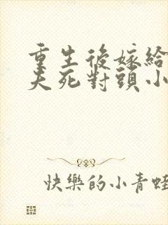 重生后嫁给了前夫死对头小说封面