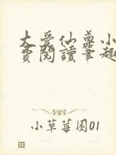 大爱仙尊小说免费阅读笔趣阁