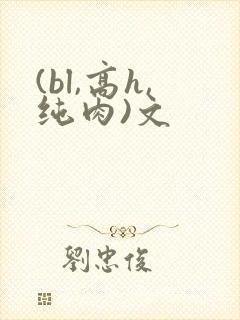 (bl,高h,纯肉)文