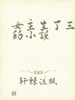 女主生了三胞胎的小说
