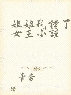 姐姐我错了,双女主小说封面