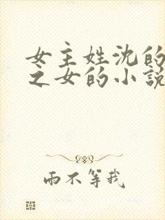 女主姓沈的丞相之女的小说
