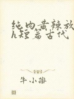 纯肉黄辣放荡高h短篇古代