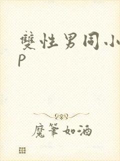 双性男同小说np