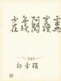 少年阿宾电子书在线阅读无删减