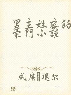 男主姓容的现代豪门小说