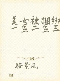 美女被捆绑调教一区二区三区封面