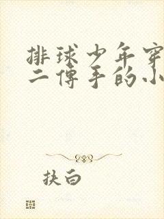 排球少年穿越成二传手的小说