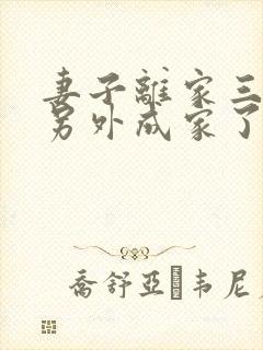 妻子离家三年我另外成家了免费阅读