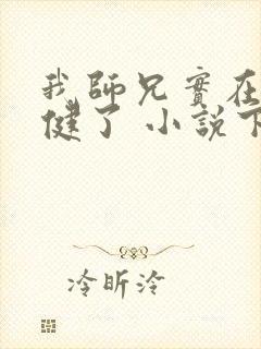 我师兄实在太稳健了 小说下载txt封面