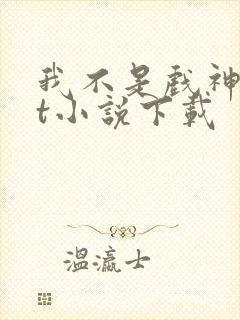 我不是戏神txt小说下载