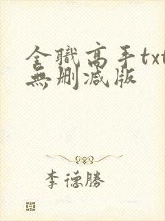 全职高手txt无删减版封面