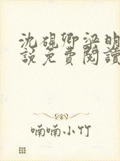 沈砚卿梁明昭小说免费阅读最新章节