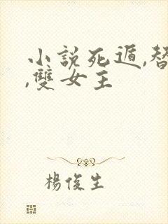 小说死遁,替身,双女主