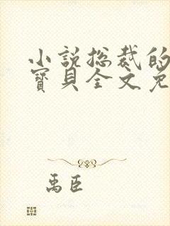 小说总裁的私有宝贝全文免费阅读封面