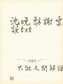 沈晚梨谢云迟小说txt封面