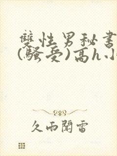 双性男秘书巨乳(骚受)高h小说