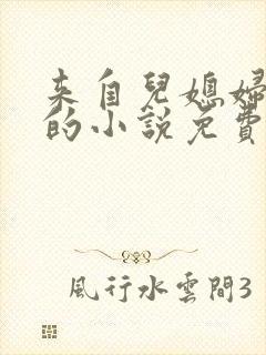 来自儿媳妇的爱的小说免费阅读全文