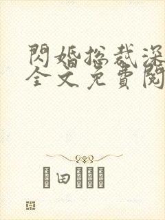 闪婚总裁深度爱全文免费阅读全文