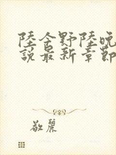 陆今野陆晚笙小说最新章节更新