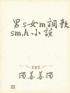 男s女m调教(sm,h小说