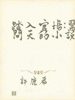 踏入官场:医道问天的小说