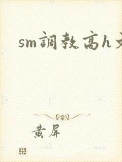 sm调教高h文